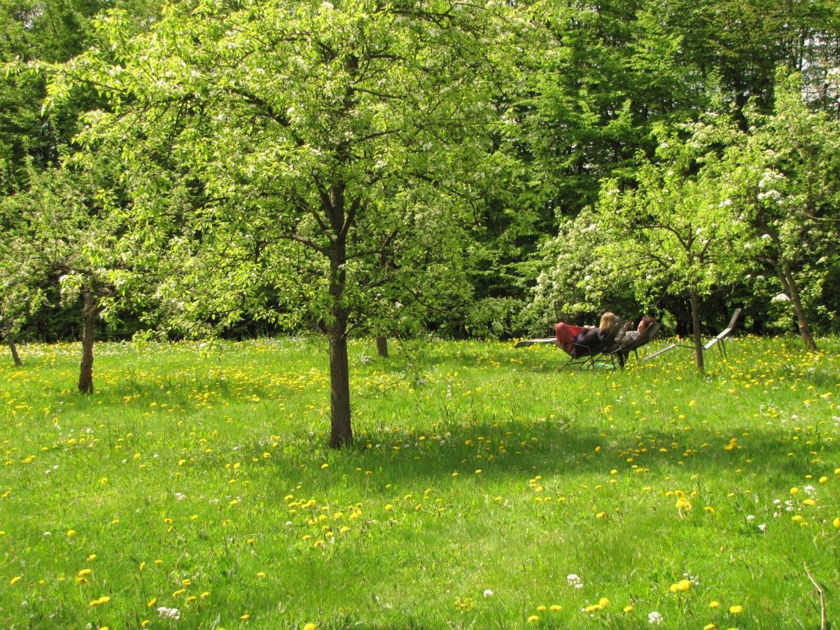 Yoga Vidya Ashram Hotel Horn-Bad Meinberg Esterno foto